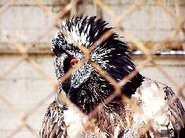 Rīgas Zoo