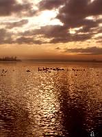daugava
