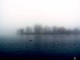 Daugava