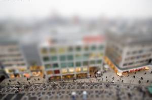 Frankfurte
